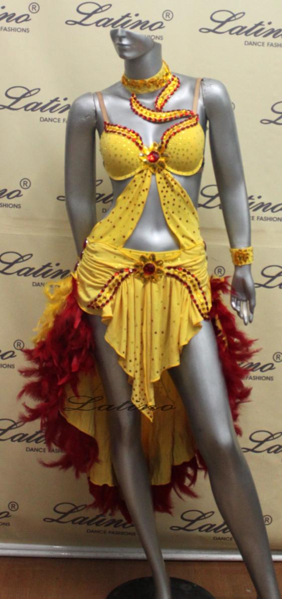 LATIN SALSA COMPETITION DRESS LDW (LS24) only on sale on